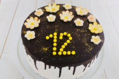 Torte-slascicarstvo-barbara-213