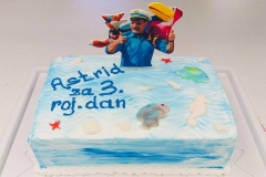 Torte-slascicarstvo-barbara-217