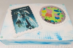 Torte-slascicarstvo-barbara-218