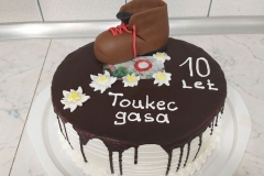 Torte-slascicarstvo-barbara-222