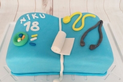 Torte-slascicarstvo-barbara-226