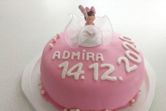 Torte-slascicarstvo-barbara-235