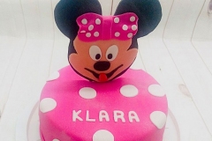 Torte-slascicarstvo-barbara-236