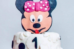 Torte-slascicarstvo-barbara-248