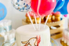 Torte-slascicarstvo-barbara-251