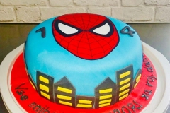 Torte-slascicarstvo-barbara-261