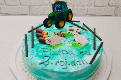 Torte-slascicarstvo-barbara-263