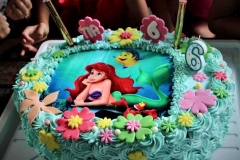 Torte-slascicarstvo-barbara-271