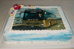 Torte-slascicarstvo-barbara-276