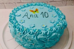 Torte-slascicarstvo-barbara-279