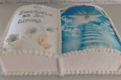 Torte-slascicarstvo-barbara-301