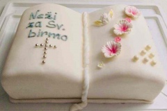 Torte-slascicarstvo-barbara-303