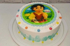 Torte-slascicarstvo-barbara-305