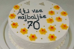 Torte-slascicarstvo-barbara-307