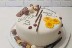 Torte-slascicarstvo-barbara-315